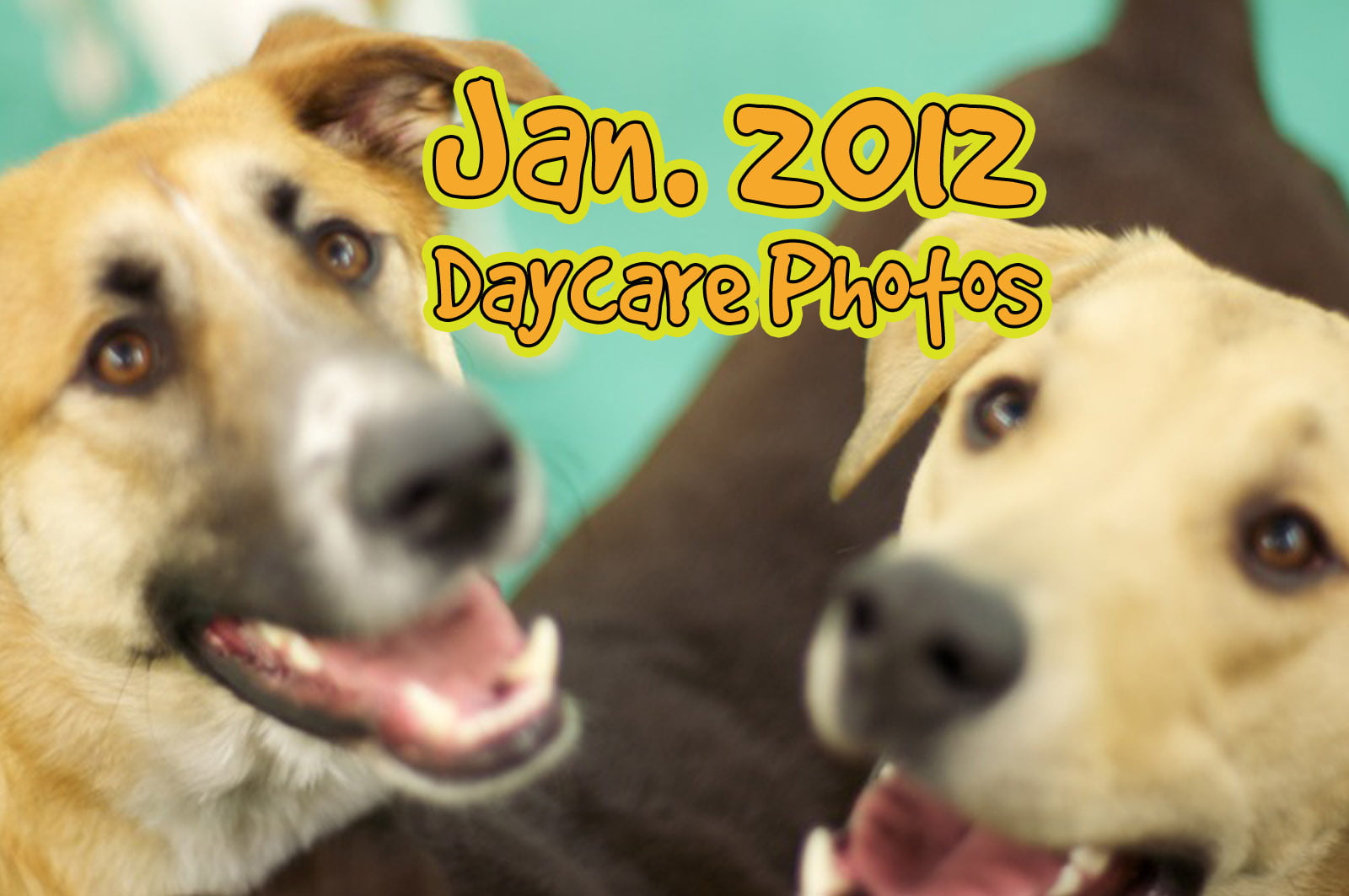 2012-01 – (88 photos) January Daycare Photos