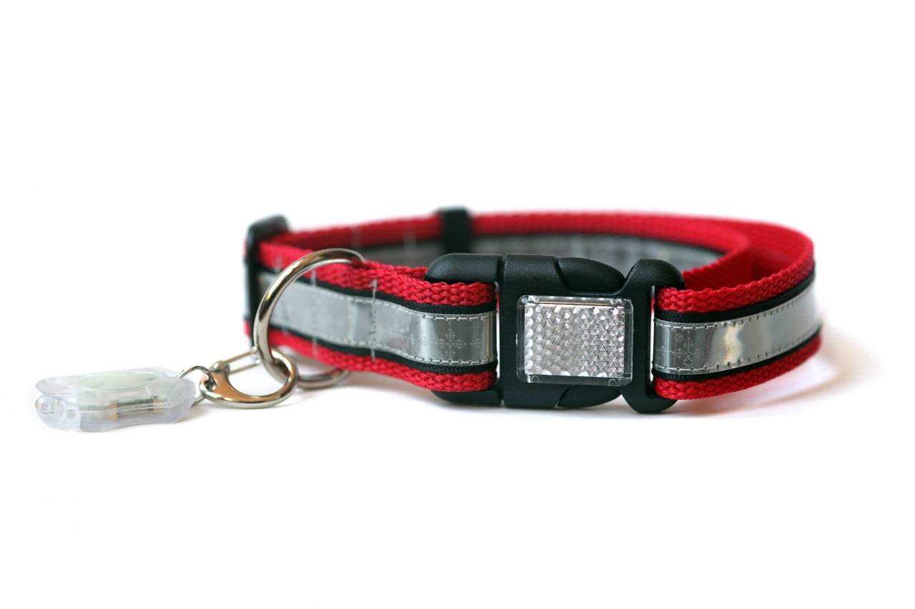 Your Dog's a Collar a Potential Choking Hazard? Barks and
