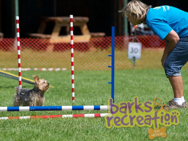 2012-07-01 – Kootenay K9’s Agility Trial Sunday (303 photos)