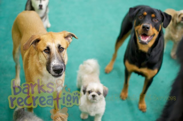 2012-08-01 – BarksnRec July/Aug Photo