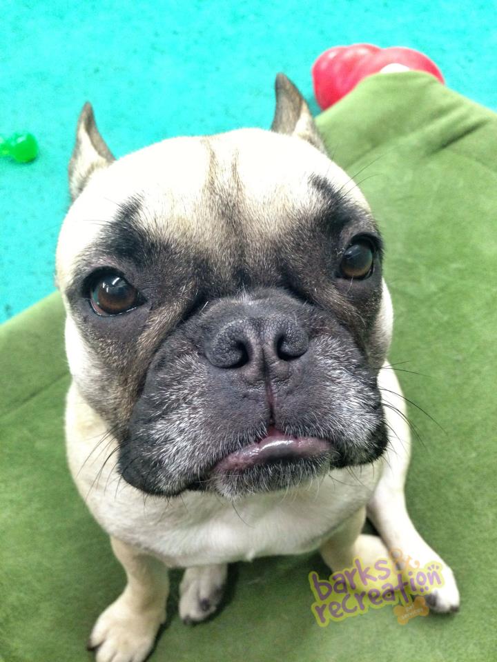 [Photo] Sad Sophie