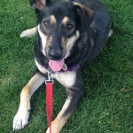 Cute Una relaxing in the park.