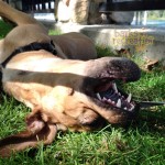 Enzo losing his mind (in a good way).