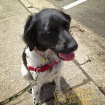 Gav the lovely Britney