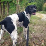 Gav the Super Smiley Britney.