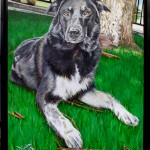 Pet Portrait Painting by Cameron Dixon – Shanna Finished