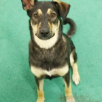 Pretty Una looking adorable.