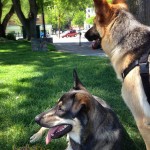 Una and Lily checking out the sights and sounds.
