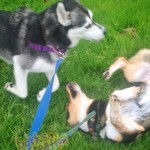 Emery and Maddie playing