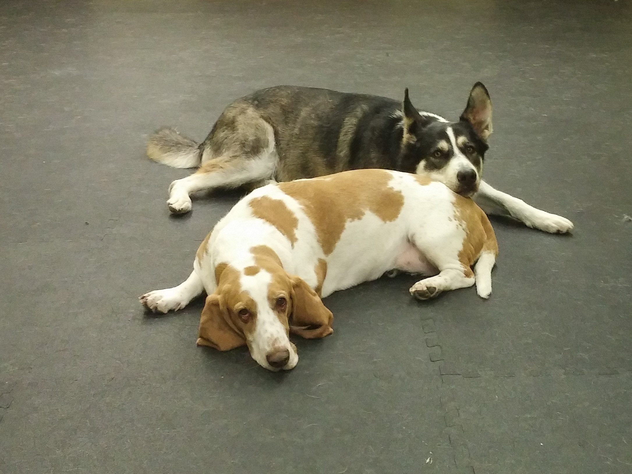 Daycare Program Update