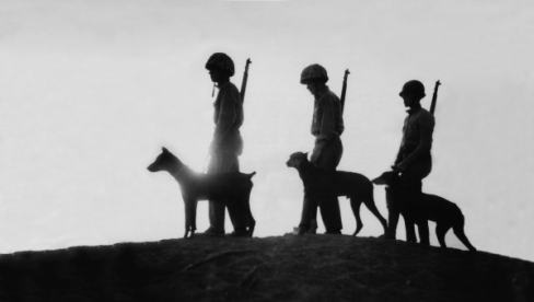 Remembrance Day Hours 2014