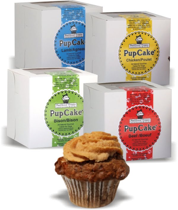 BarksnRec Instagram Photo: Enzo celebrated his 3rd birthday…