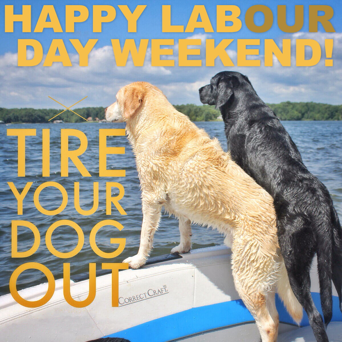 Labour Day Weekend Hours at Barks and Recreation in Trail, BC
