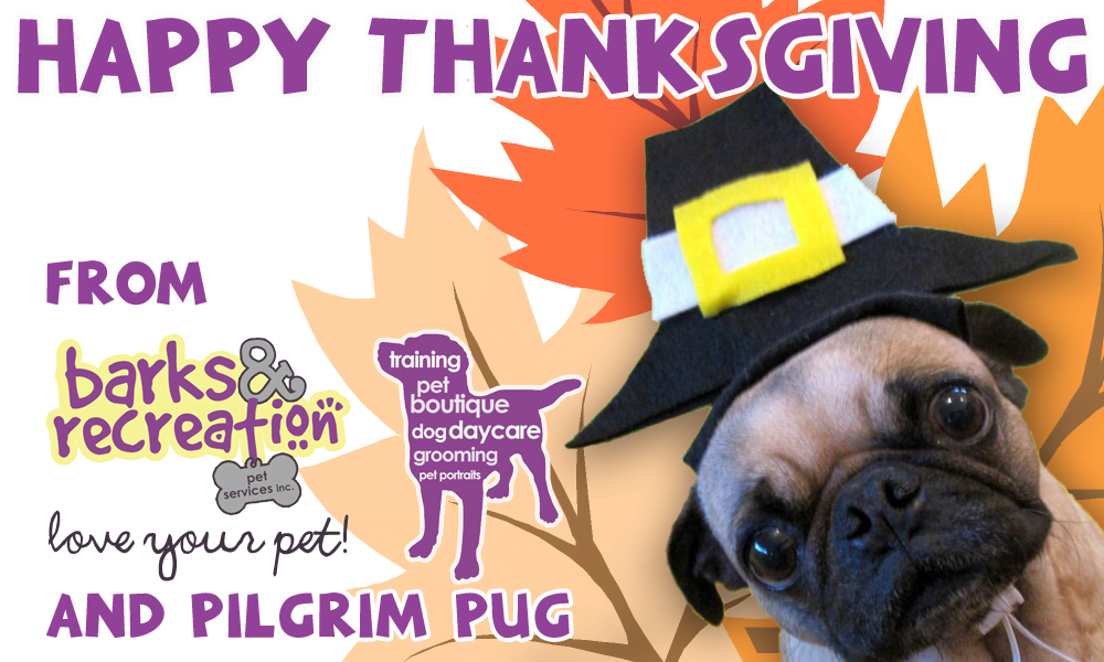 Thanksgiving Weekend Store Hours at Barks and Recreation in Trail, BC