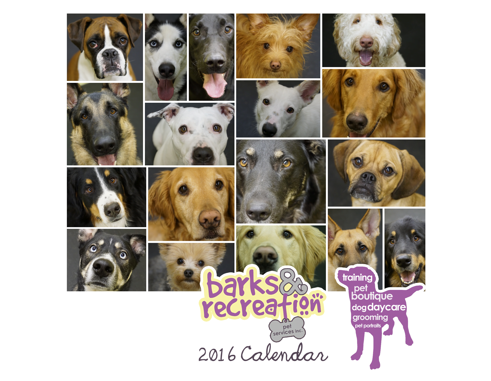 2016 Barks and Recreation Daycare Dogs Calendar Pre-Order