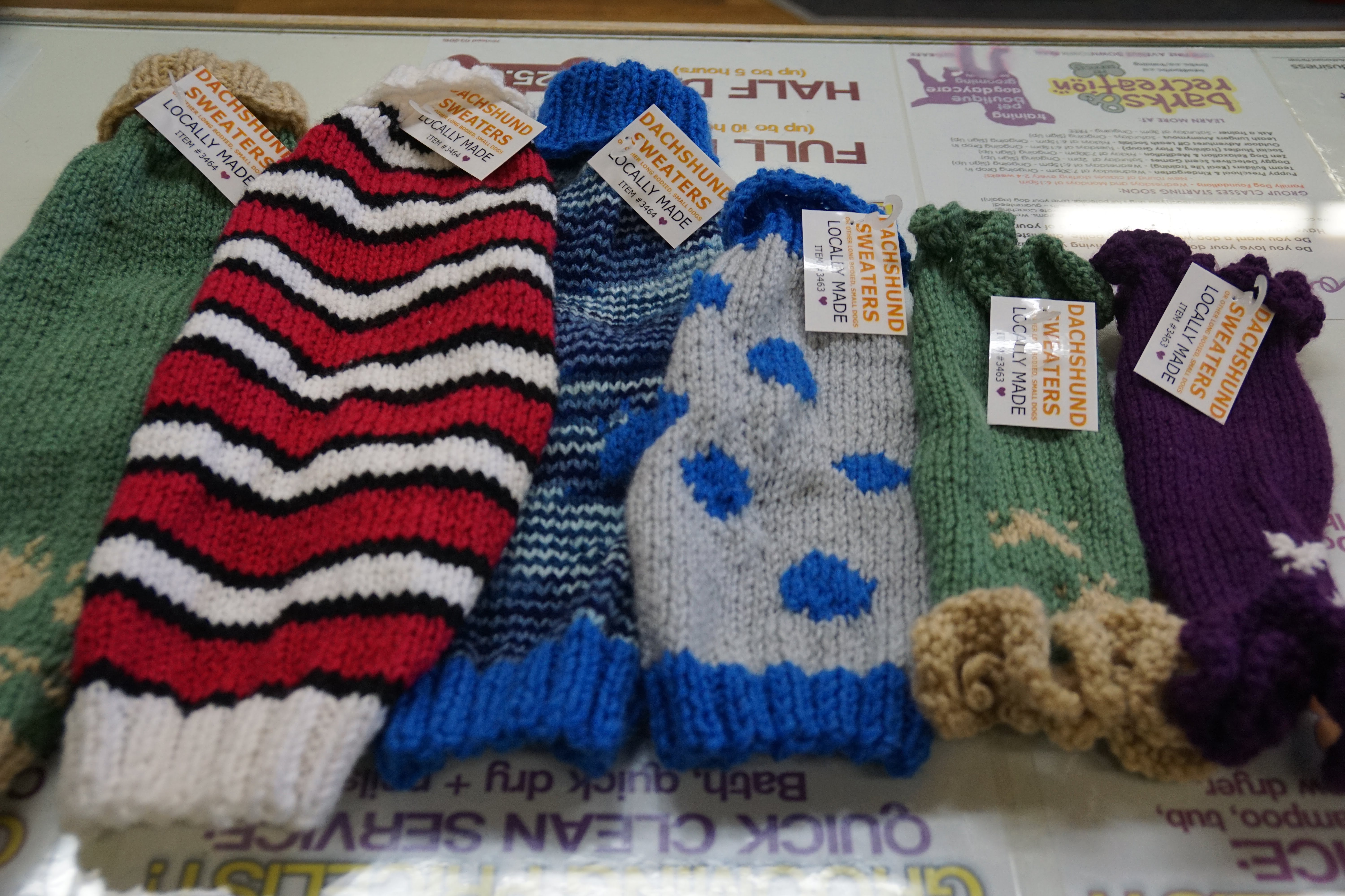 New Local Product 2015: Dachshund Sweaters
