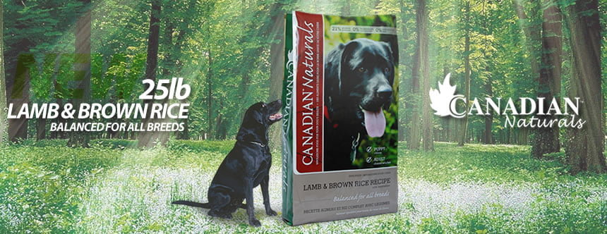 Canadian Naturals – Lamb and Rice – Whimzees Treat Bonus!