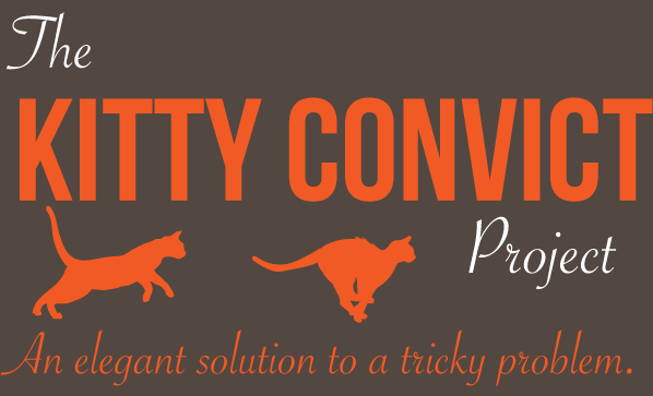 Is your kitty a convict? – The Kitty Convict Project