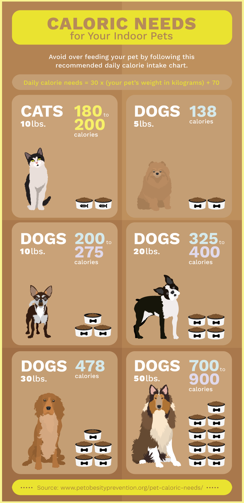 How to Keep Your Pet Healthy All Year Round | Fix.com