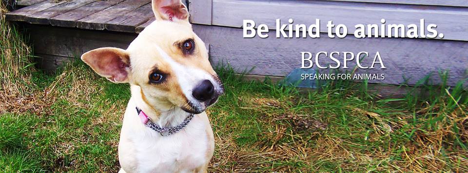 BCSPCA Trail Fundraising Raffle!!