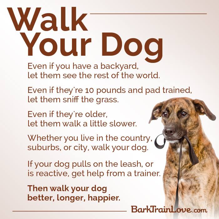 Walk Your Dog – via BarkTrainLove.com