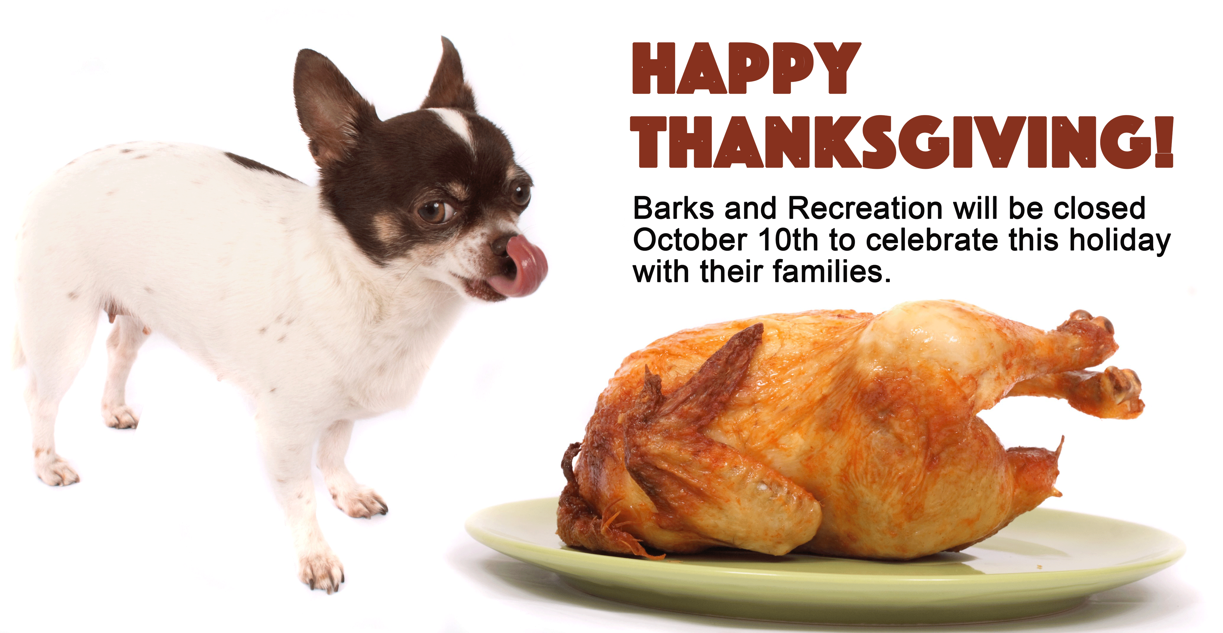 Thanksgiving Weekend Hours