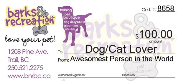 6th Anniversary Add-on Sales: Daycare Punch Passes + Barks Gift Certificates on sale!