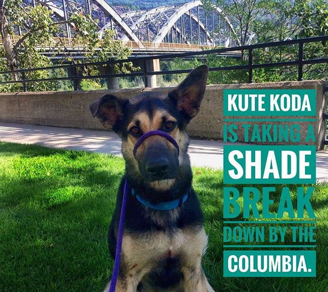 From Barks and Recs Instagram…