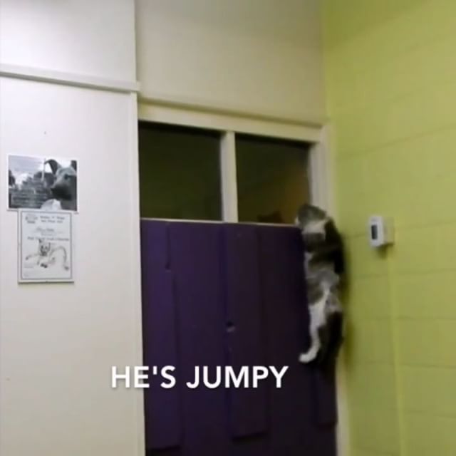 From Barks and Recs Instagram…