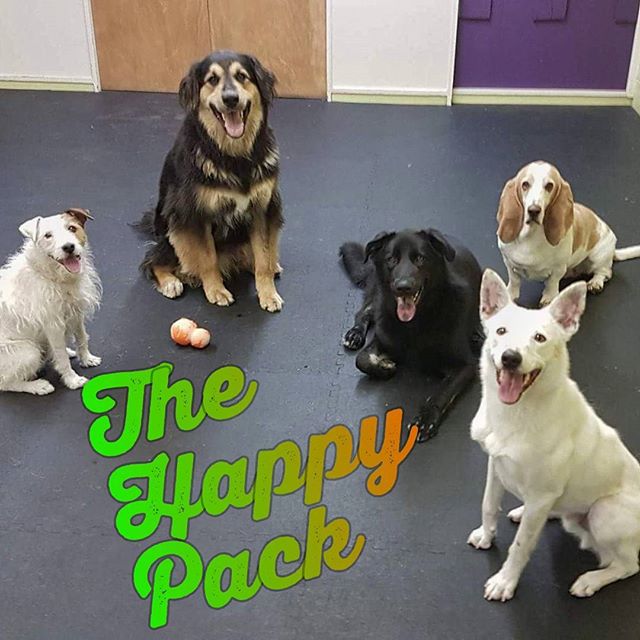 From Barks and Recs Instagram…