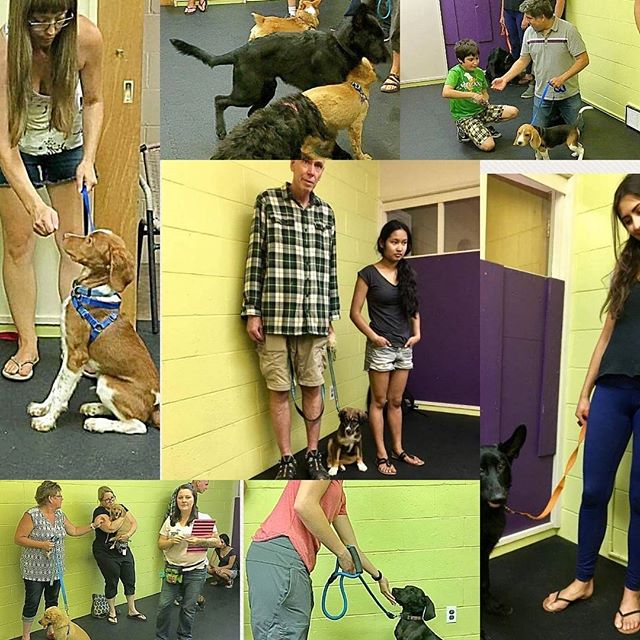 From Barks and Recs Instagram…