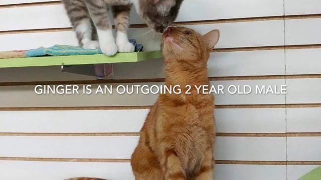 From Barks and Recs Instagram…