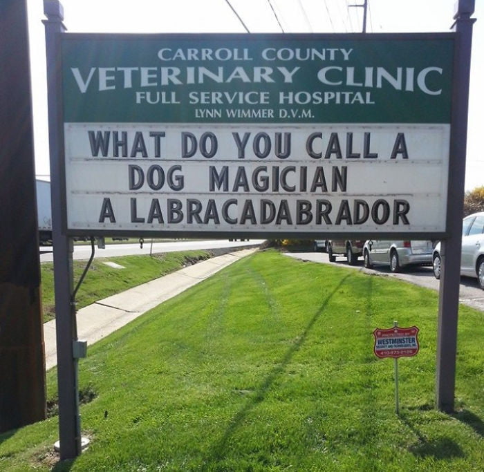 10+ Genius Vet Signs That Will Make You Laugh | via Bored Panda