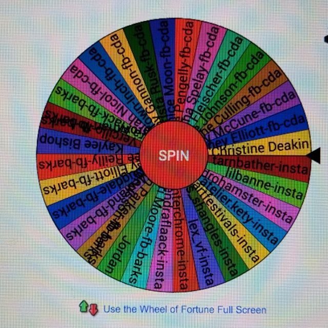 50% off custom painting by Cameron Dixon winner is