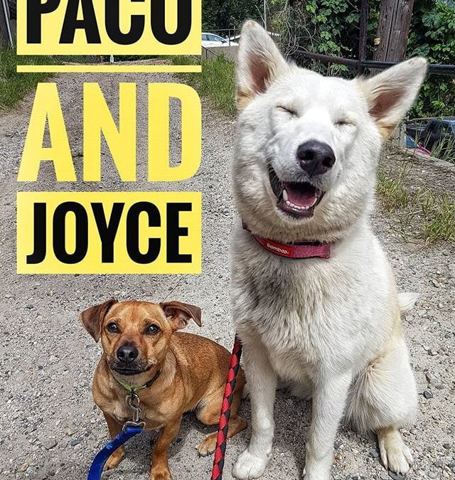 Skeptical Paco and enamoured Joyce while walking the town