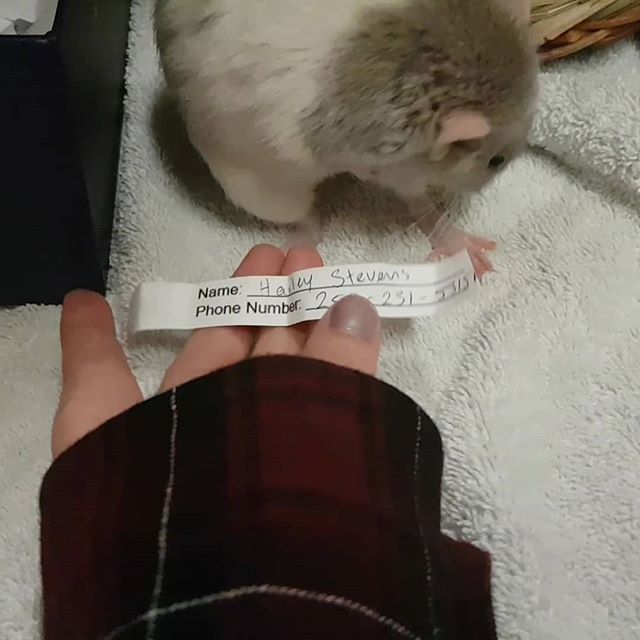 Sylvie chose the winner of the cat basket draw we made for the Kootenay Healthy Lifestyles Expo last weekend