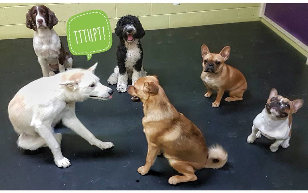 The start of a good play session can start with just a raspberry