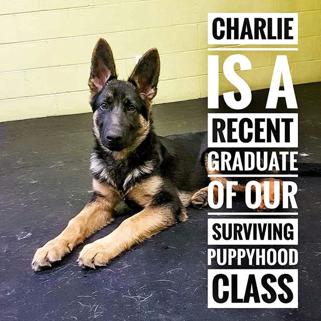 Charlie is here to play at our daycare