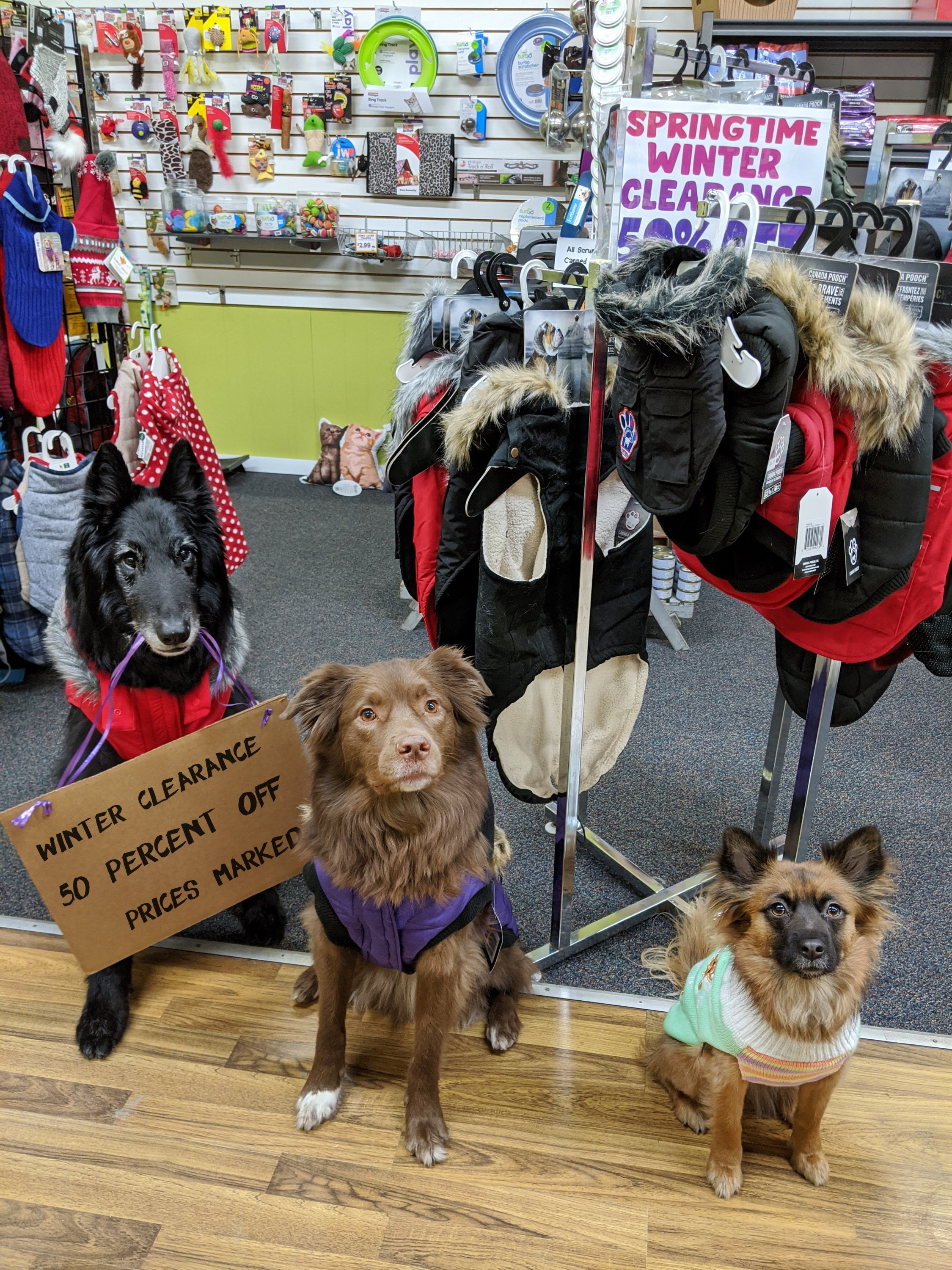 50% Off Winter Clothing and accessories Sale!