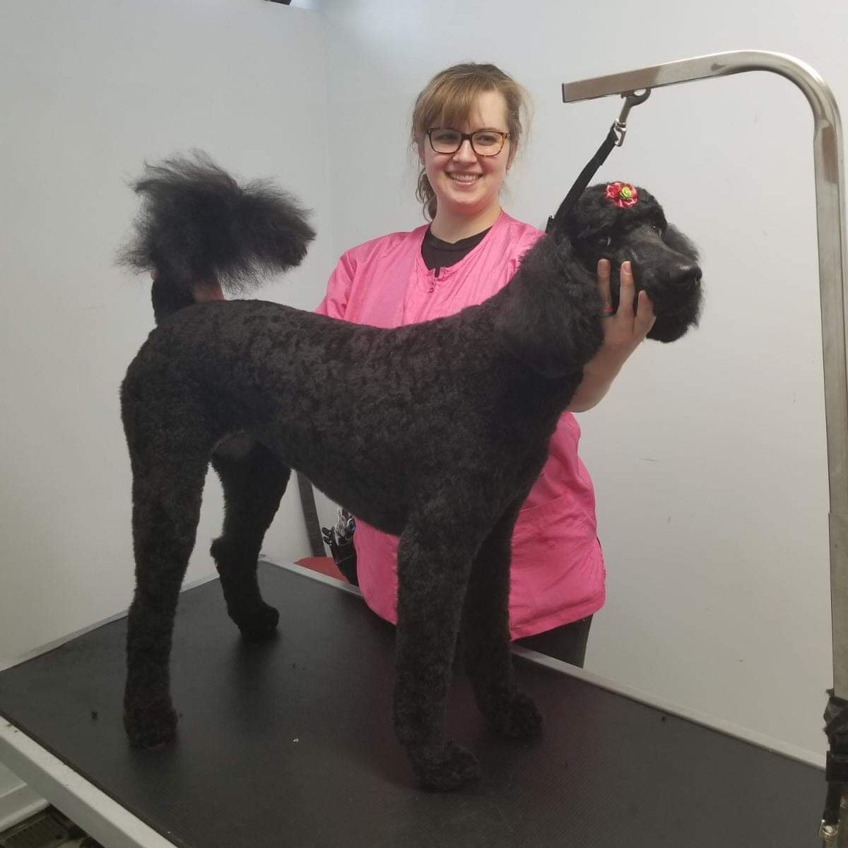 Our Groomer, Brenda R.