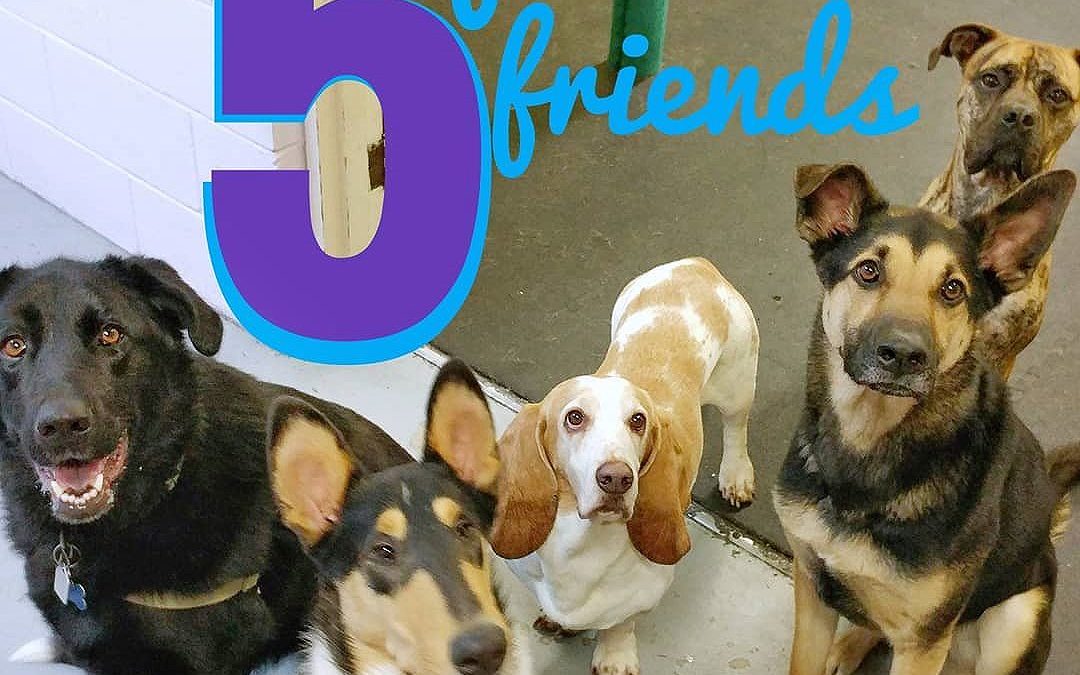 5 Fabulous Friends