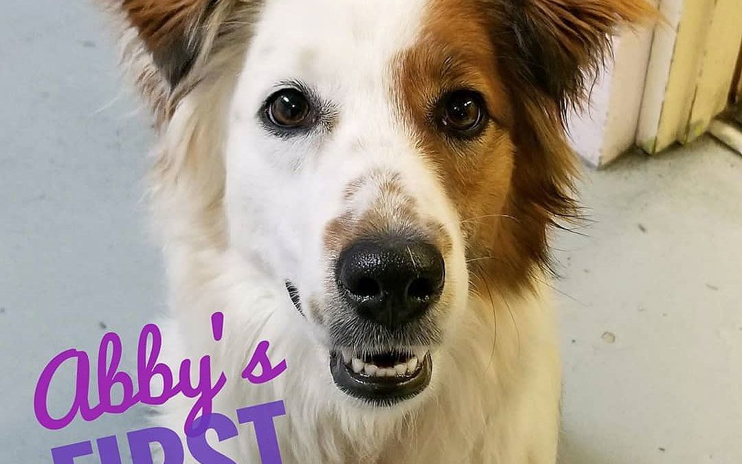 Abby’s First Day