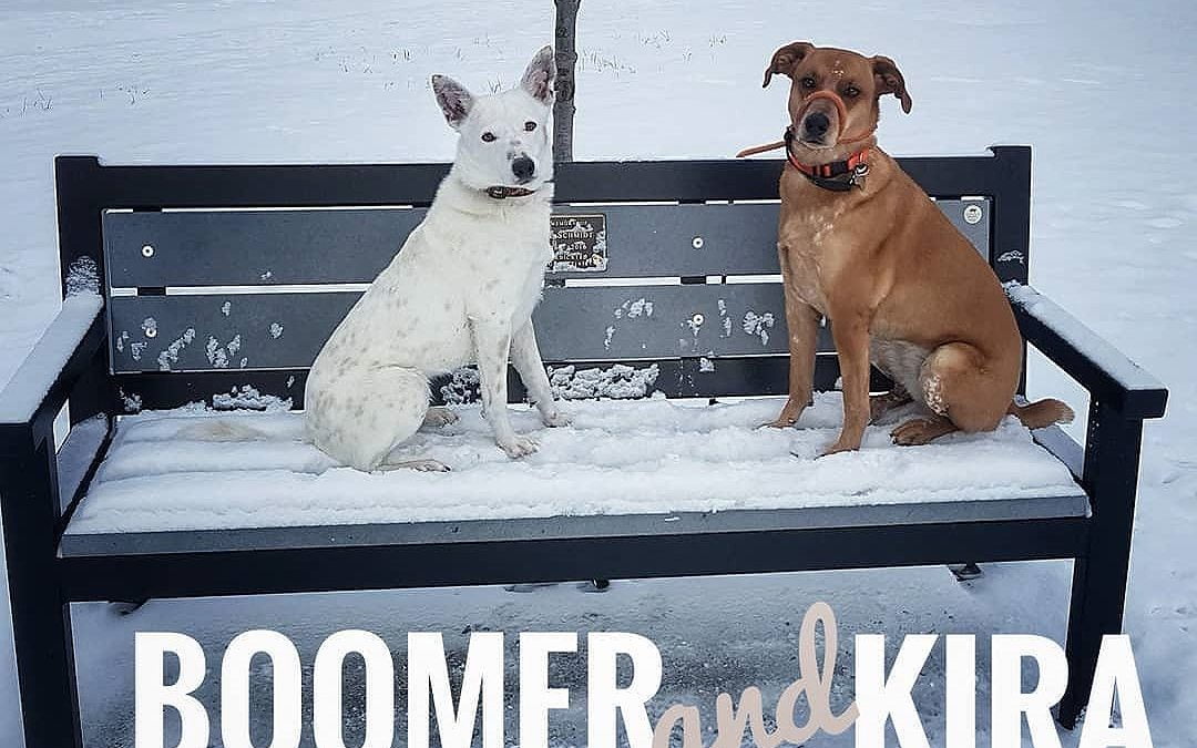 Boomer and Kira