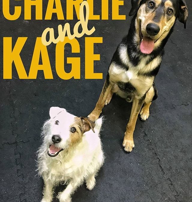 Charlie and Kage looking amazing
