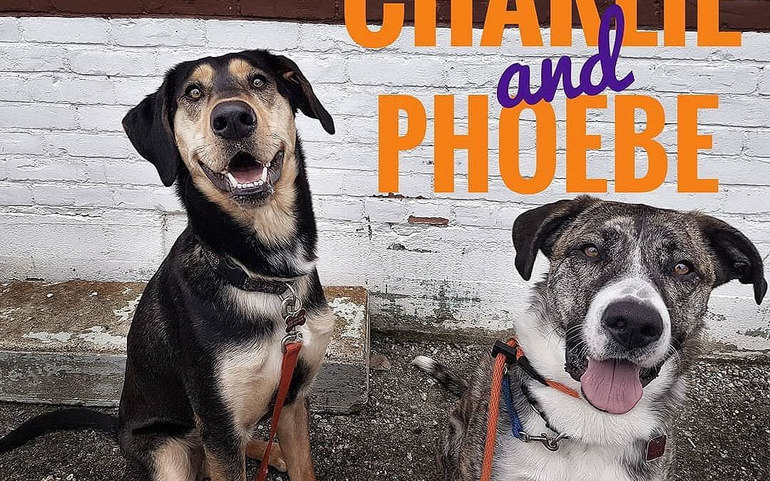 Charlie and Phoebe having a grand time while out for a walk