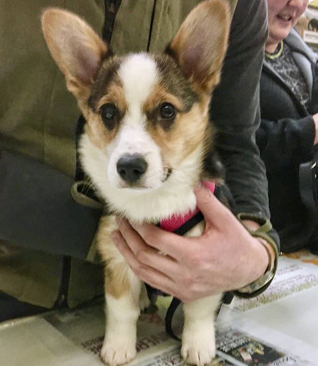 2012-09-01 - BarksnRec September Photo