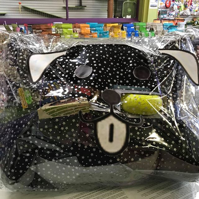 Come in and say hi to us as the Kootenays Health & Wellness Expo today