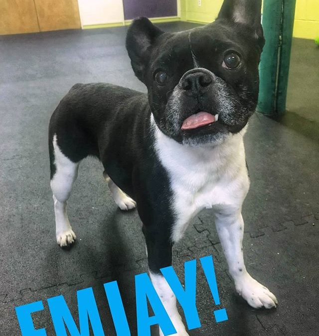 Cute Emjay is the bestest Emjay