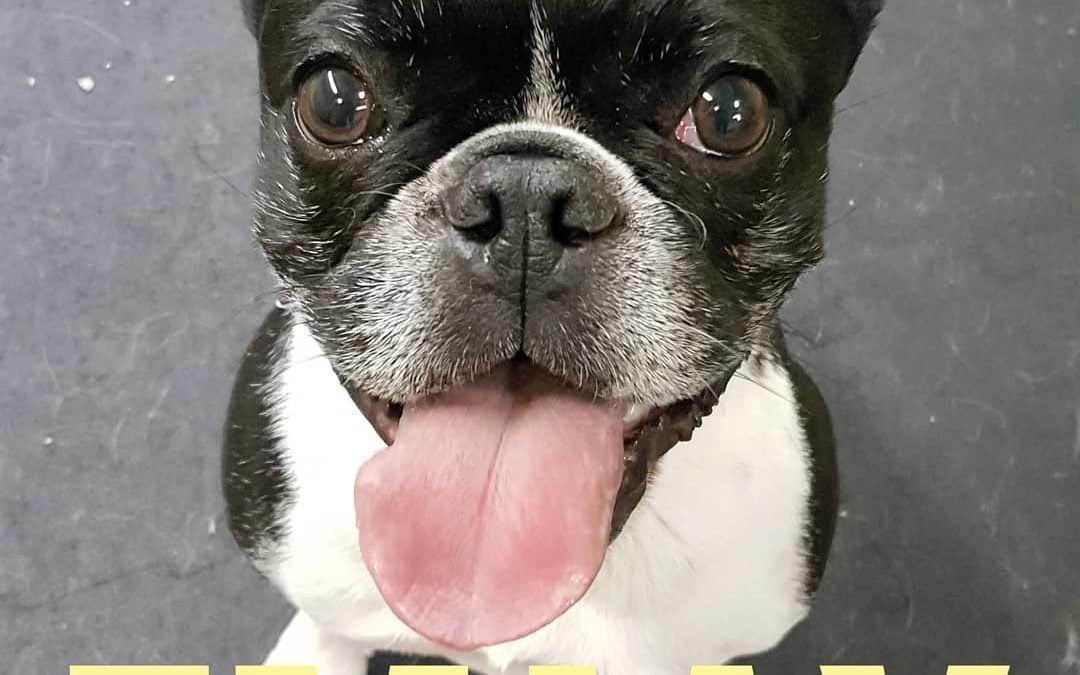 Emjay is a bundle of energy and fun when she comes to our daycare