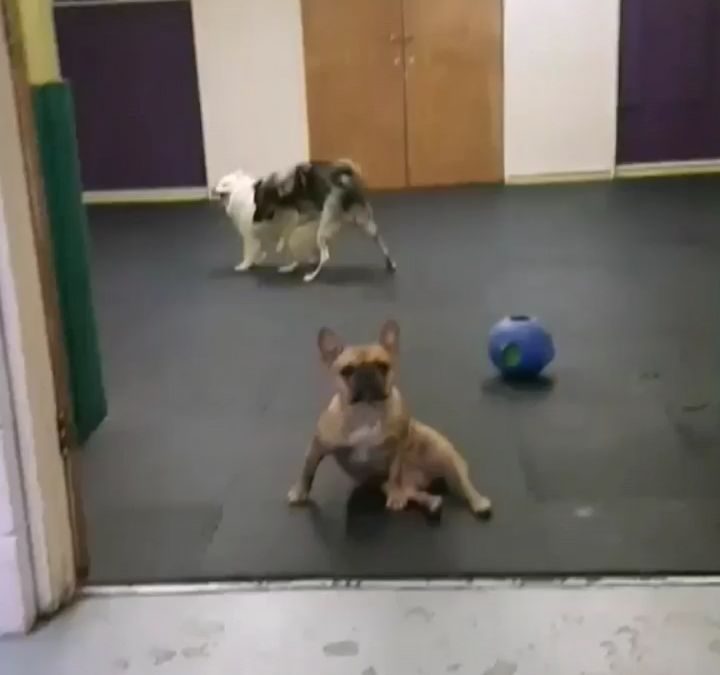 Emma, striking a pose before deciding to join in the play behind her